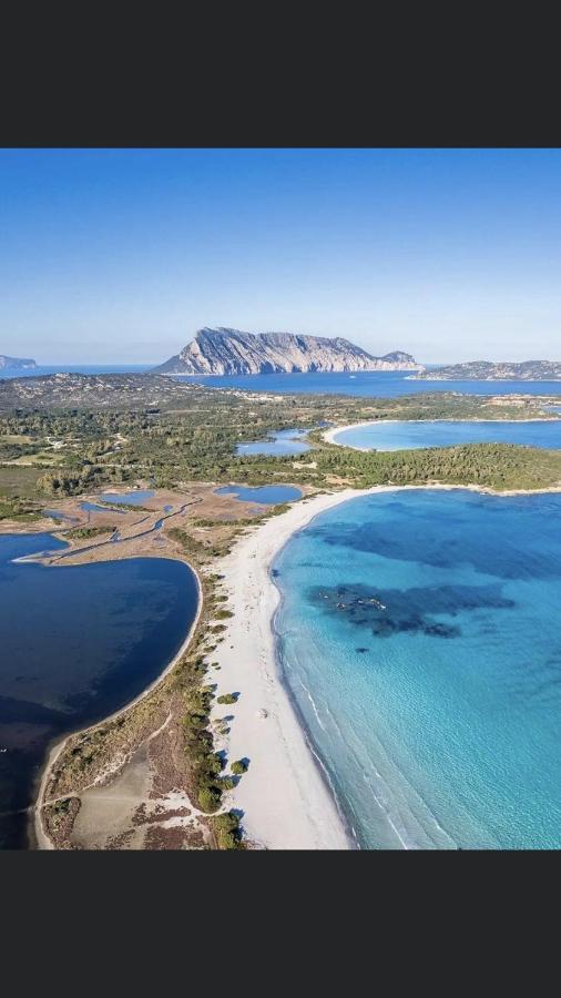 Вилла Best Sardegna Ольбия Экстерьер фото